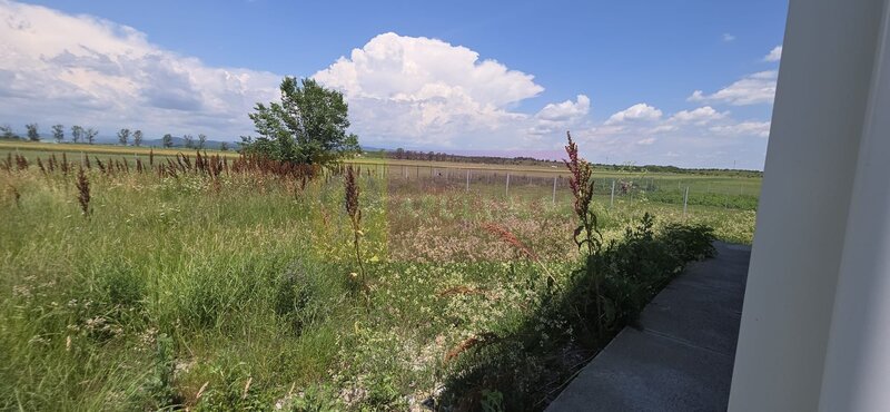 Hala de vanzare in Floresti