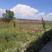 Hala de vanzare in Floresti